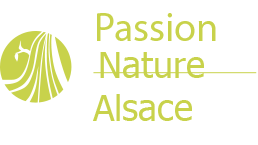 Passion-Nature-Alsace